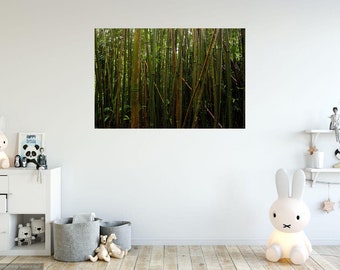 Bamboo Forest Oahu Hawaii Print l Coastal Art