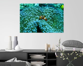 Clownfish Photo Print: Bali Ocean Wall Art