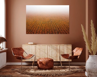 Central Coast San Luis Obispo Marigold Flower Fields