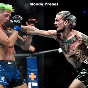 Może przedstawiać: Dw&oacute;ch zawodnik&oacute;w mieszanych sztuk walki w ringu bokserskim. Zawodnik po lewej stronie ma zielone włosy i nosi niebieskie spodenki z logo UFC. Zawodnik po prawej stronie ma warkocze i nosi zielone spodenki z napisem "MALLEY" z boku. Obaj zawodnicy mają tatuaże.