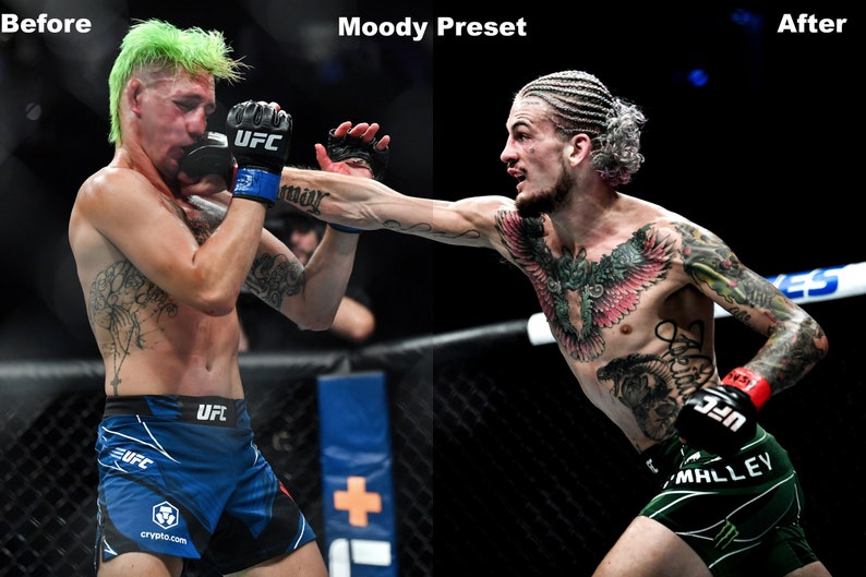 Może przedstawiać: Dw&oacute;ch zawodnik&oacute;w mieszanych sztuk walki w ringu bokserskim. Zawodnik po lewej stronie ma zielone włosy i nosi niebieskie spodenki z logo UFC. Zawodnik po prawej stronie ma warkocze i nosi zielone spodenki z napisem "MALLEY" z boku. Obaj zawodnicy mają tatuaże.