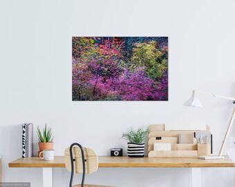 The Colors of Fall Zion National Park