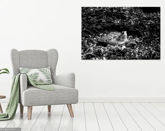 Black and White Sea Turtle Photo Print: Vintage Coastal Wall Art