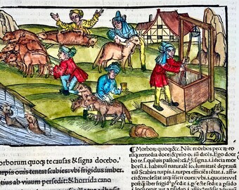 1517 Folio Gruninger woodcut leaf from Virgil's Georgics, husbandry, farming