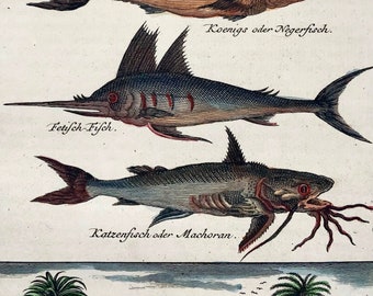 高評価なギフト Fish, Flying Swordfish, 1749 Catfish After Schley Von J. by その他