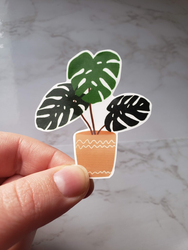 Laptop Sticker Cactus Monstera Succulent Water Resistant Sticker Glossy Sticker Plant Stickers Water Bottle Sticker