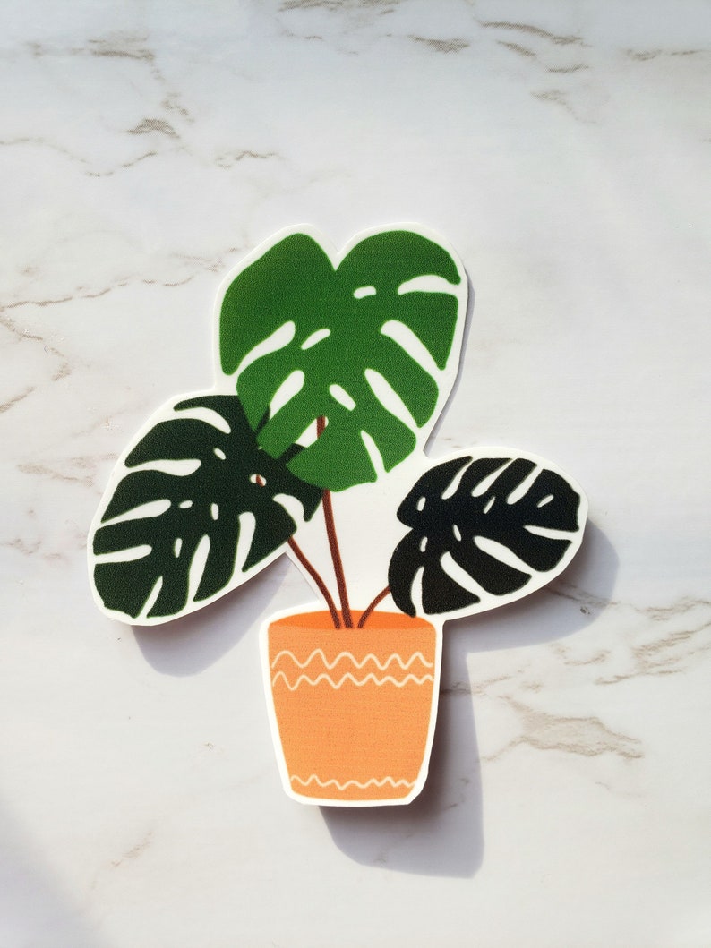 Laptop Sticker Cactus Monstera Succulent Water Resistant Sticker Glossy Sticker Plant Stickers Water Bottle Sticker