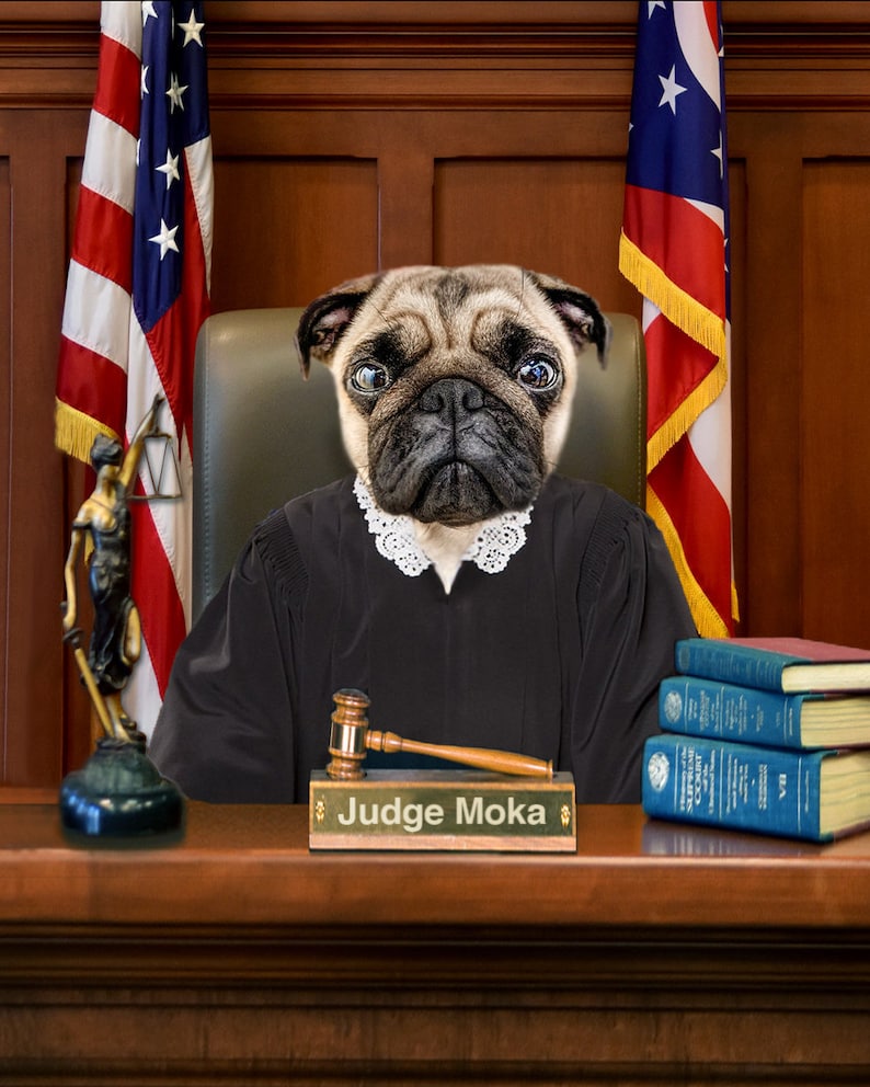 Pet Judge Portrait Custom Judge Portrait Dog Judge Cat Etsy