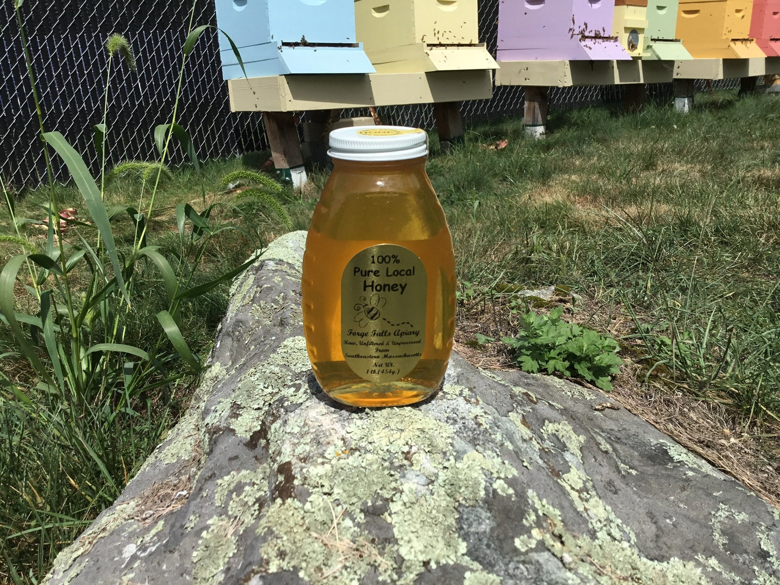Raw Unfiltered 100% Local Honey From Massachusetts - Etsy