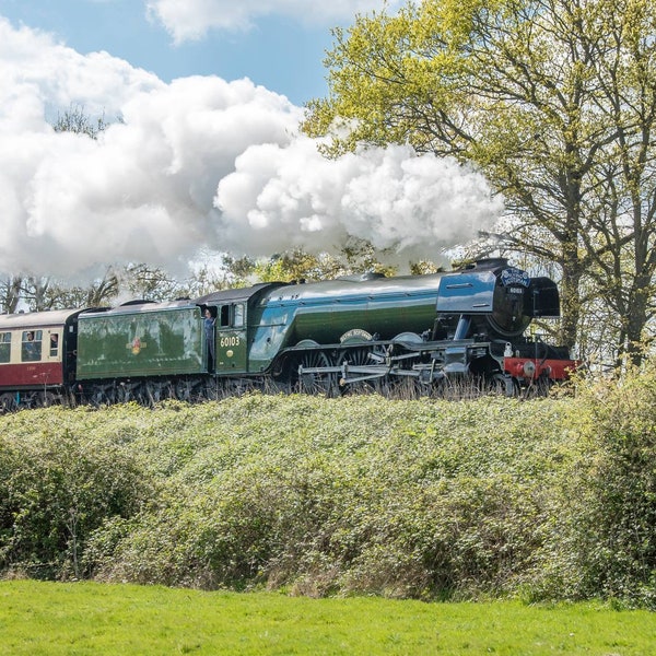 Celebrating 100 years: The Flying Scotsman along the  Bluebell Railway, East Sussex | Centenary | Mounted Print | Steam Locomotive