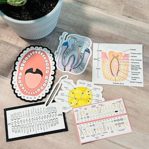 Dental Stickers / For Dental Students /Dentist Vinyl Stickers