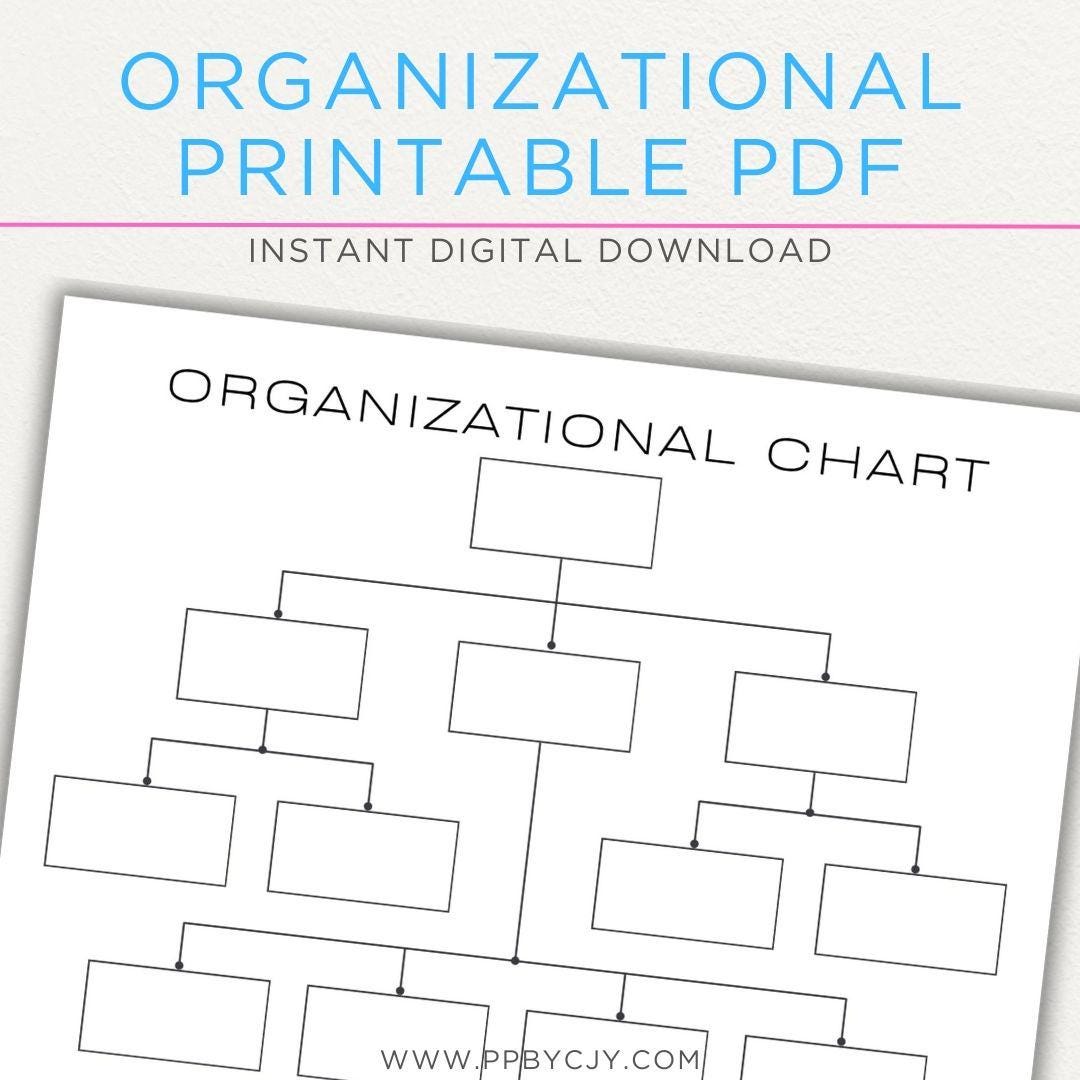 Business Organizational Chart | Departmental Company Structure