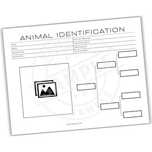 May include: A white animal identification form with the title "ANIMAL IDENTIFICATION" at the top. The form includes fields for name, breed, registration, and description. There is a space for a photo and a stamp that says "SAMPLE".