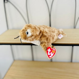 Vintage Fins the Seal - Pensionierte Beanie Baby