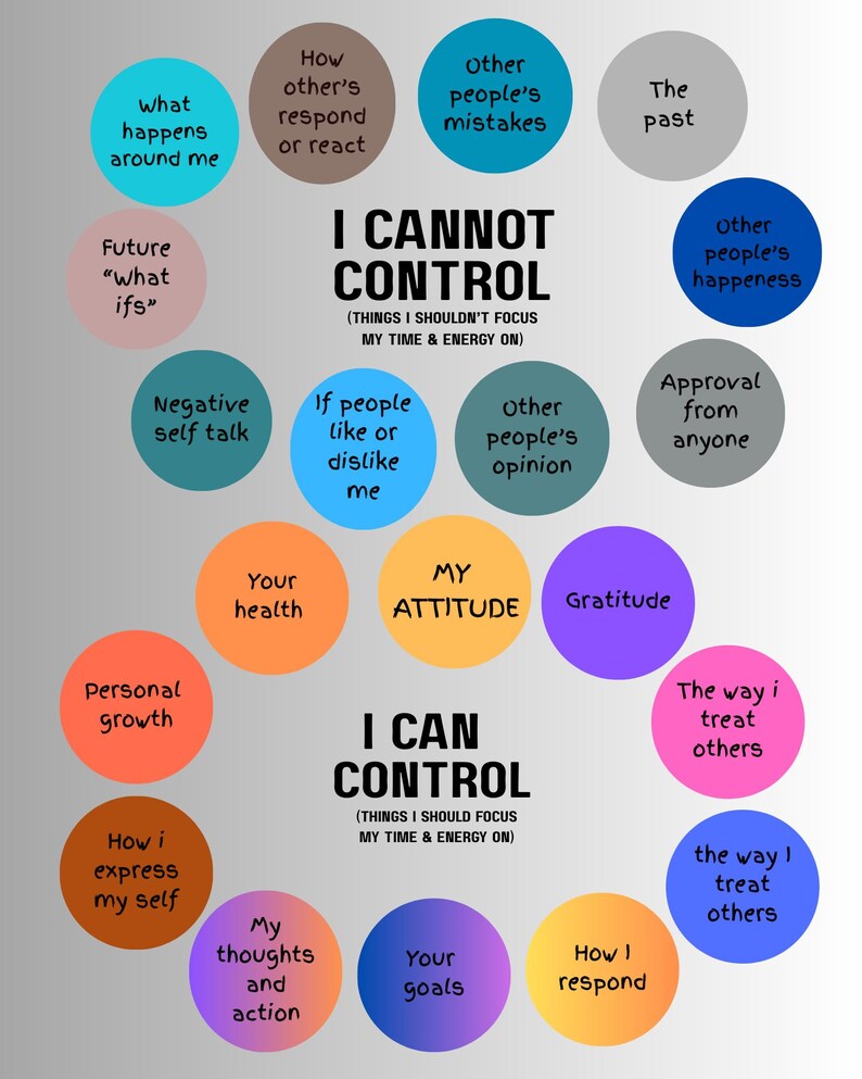 May include: An infographic with the text "I CANNOT CONTROL" and "I CAN CONTROL" surrounded by colourful circles. The circles list various aspects of life, such as "My attitude," "Your goals," and "Other people's mistakes."