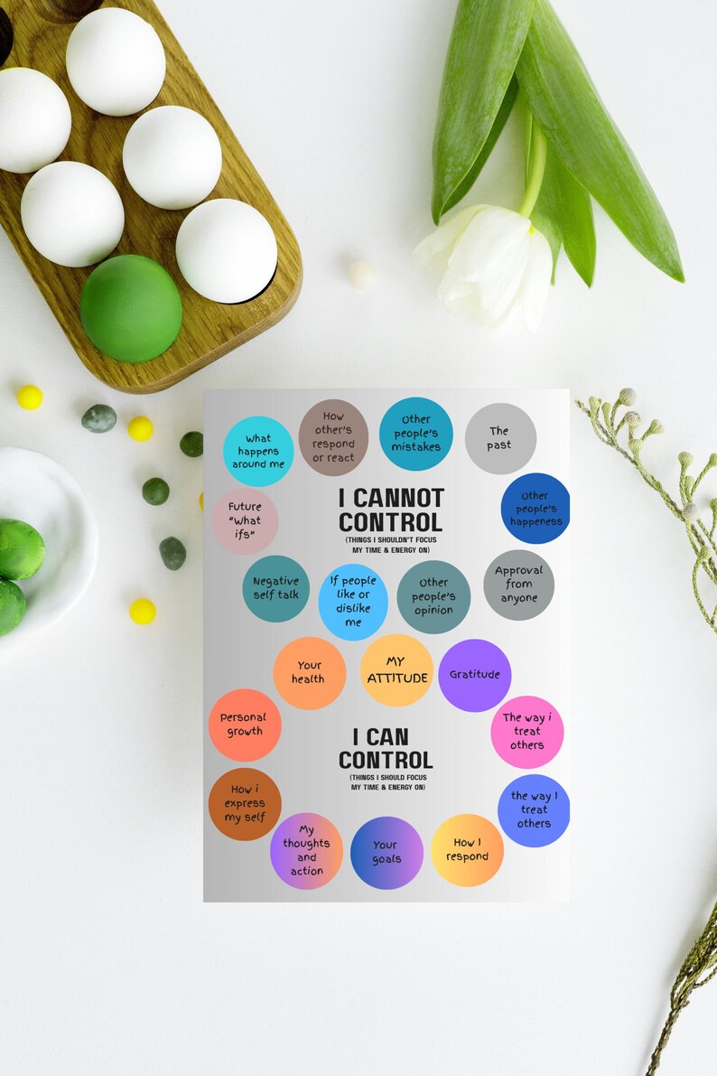 May include: A motivational poster with the text "I CANNOT CONTROL" and "I CAN CONTROL" surrounded by colourful circles. The poster is on a white background with decorative elements, including white and green spheres.