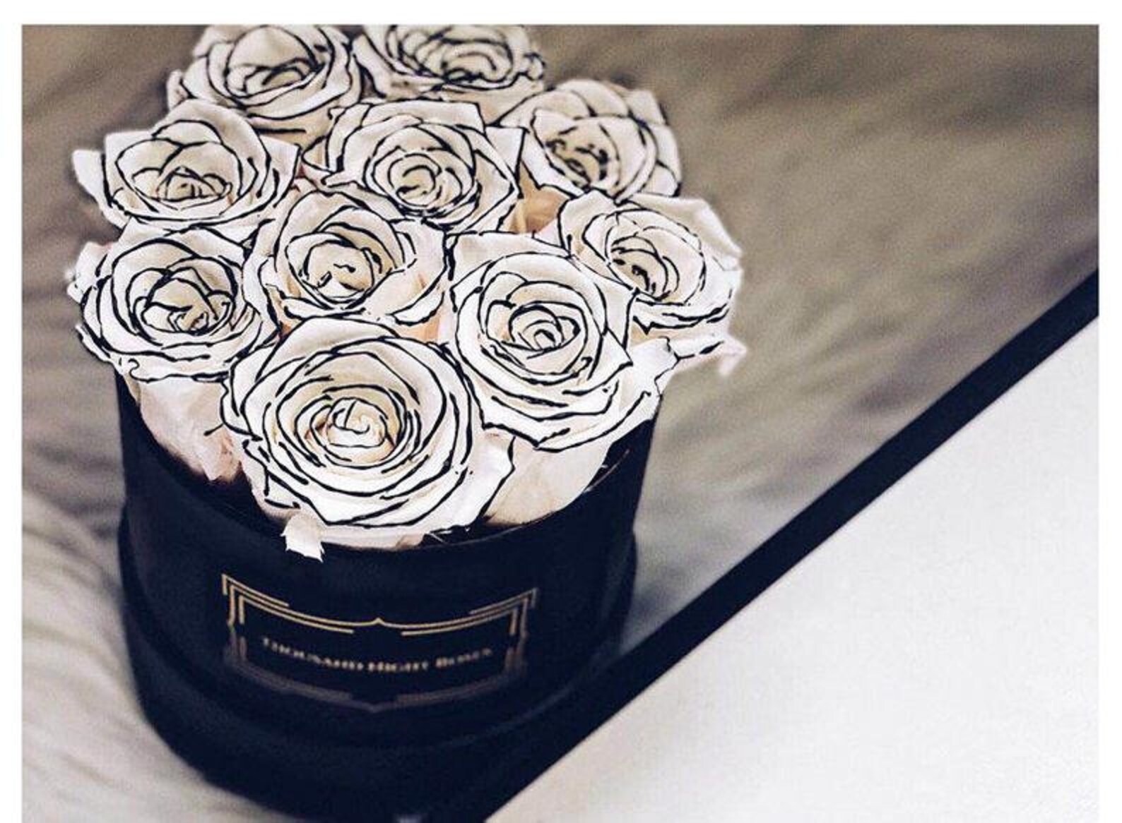 White roses with black edges dried flower Real Preserved Etsy