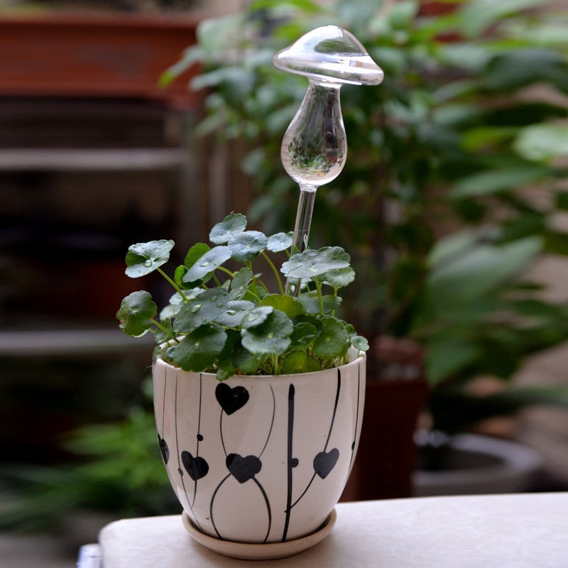 Calunce 2pcs Self Watering Globe Plant Small Water Bulbs Bird Shape Design Hand Blown Clear Glass 