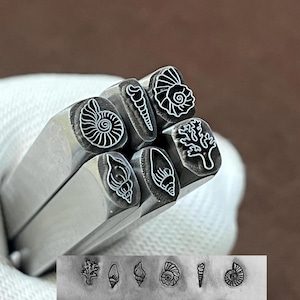 Op de afbeelding: Close-up van verschillende metalen stempels met verschillende schelpmotieven. De stempels zijn zilverkleurig en hebben gedetailleerde, wit gevulde contouren van verschillende schelpen en koraal. Een kleiner, gestempeld voorbeeld van elk ontwerp wordt hieronder getoond.