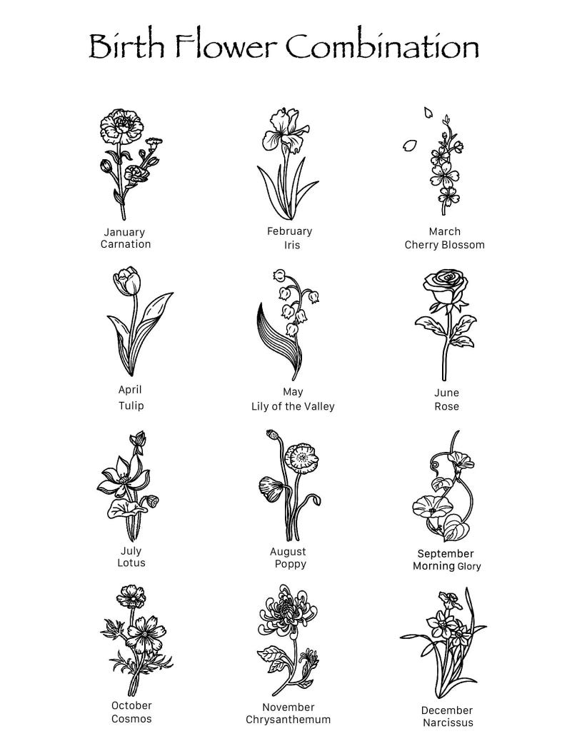 Pu&ograve; includere: Un'illustrazione in bianco e nero di un grafico di fiori di nascita. Ogni mese dell'anno &egrave; rappresentato da un fiore diverso. I fiori sono disegnati in uno stile semplice ed elegante.