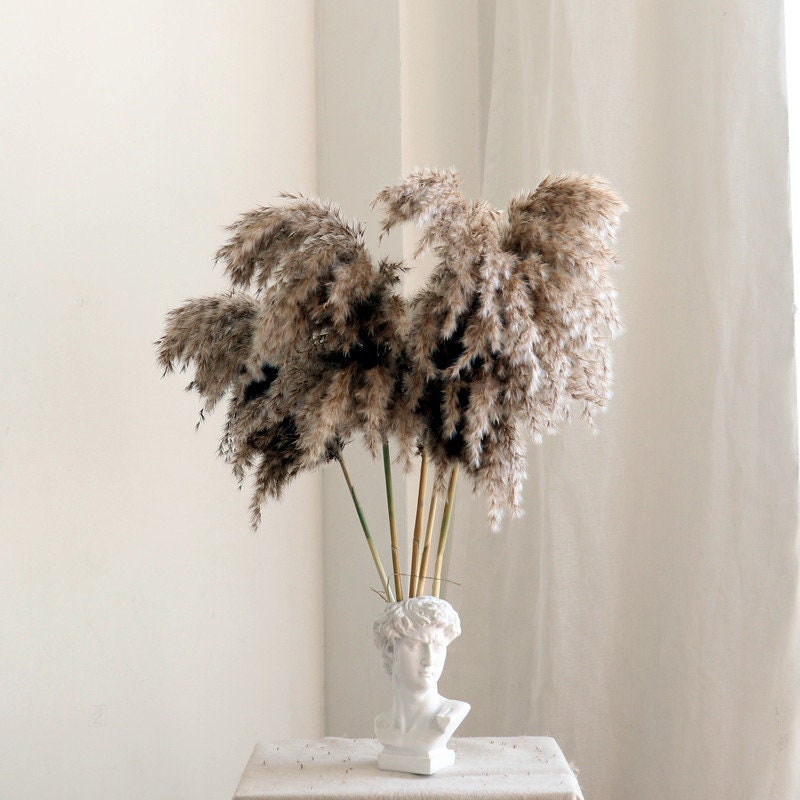 20 Stems Gray Pampas Grass,dried Pampas Grass Decor,natural and Dry