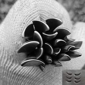 May include: A cluster of dark, petal-shaped objects with a metallic sheen, possibly metal art or a decorative element. The petals have a curved design with a bright edge. The image is in black and white.