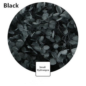 Black Rose Petals, matte black preserved rose petals - wedding confetti,  decoration, biodegradable 300g
