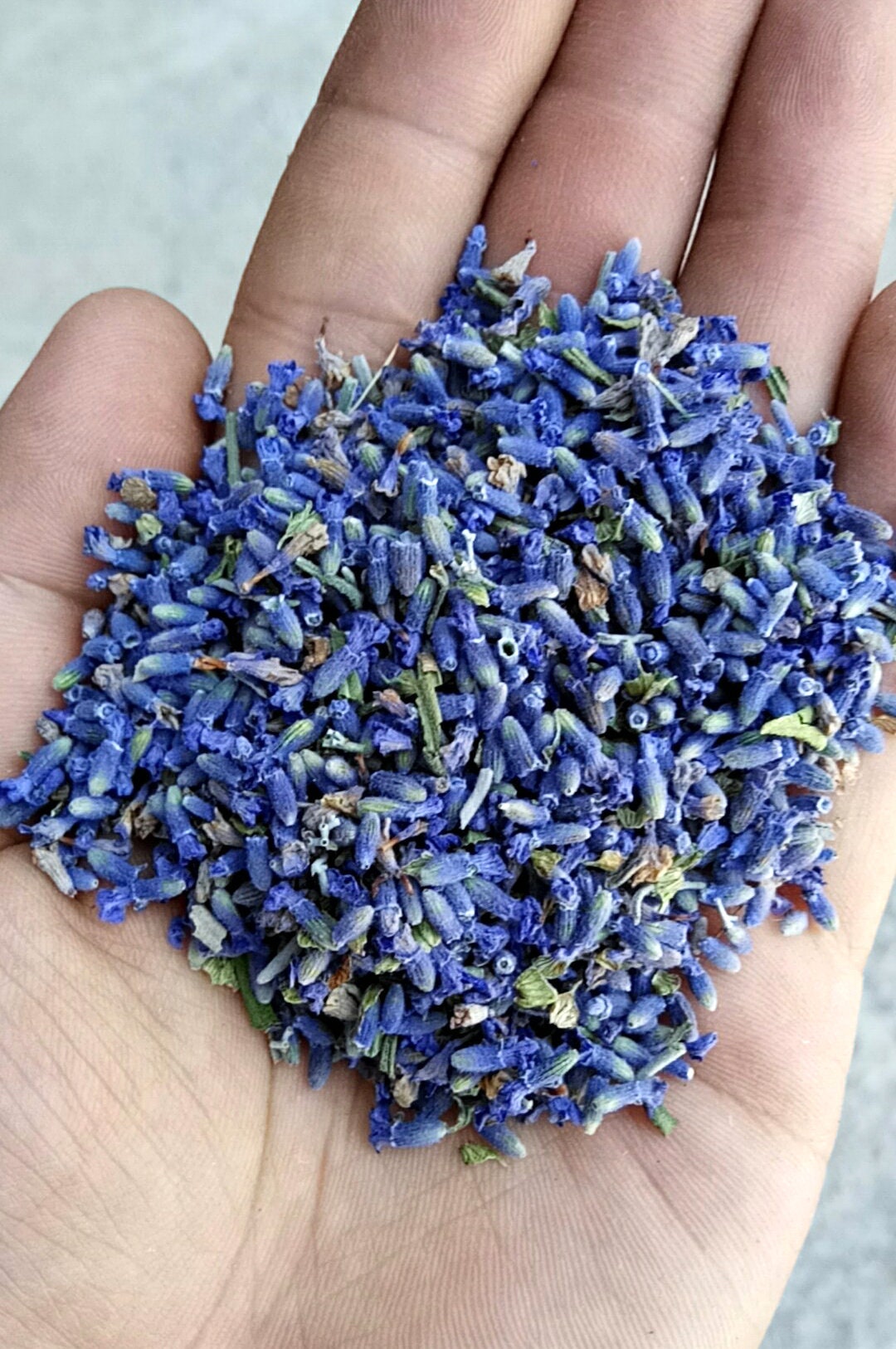 Organic Bulk Dried LavenderUltra Blue Lavender BudsRich Etsy