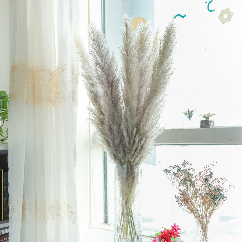 6pcs gray extra large pampas grassdried pampas grass Etsy