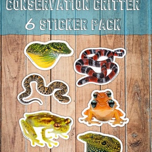 Reptile & Frog Sticker Pack Wildlife reptile and amphibian 6 Sticker Pack
