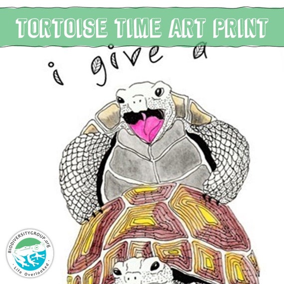 Funny Tortoise Art Print Funny Turtle Sex Art Print Tortoise - Etsy Funny Tortoise Art Print Funny Turtle Sex Art Print Tortoise - Etsy