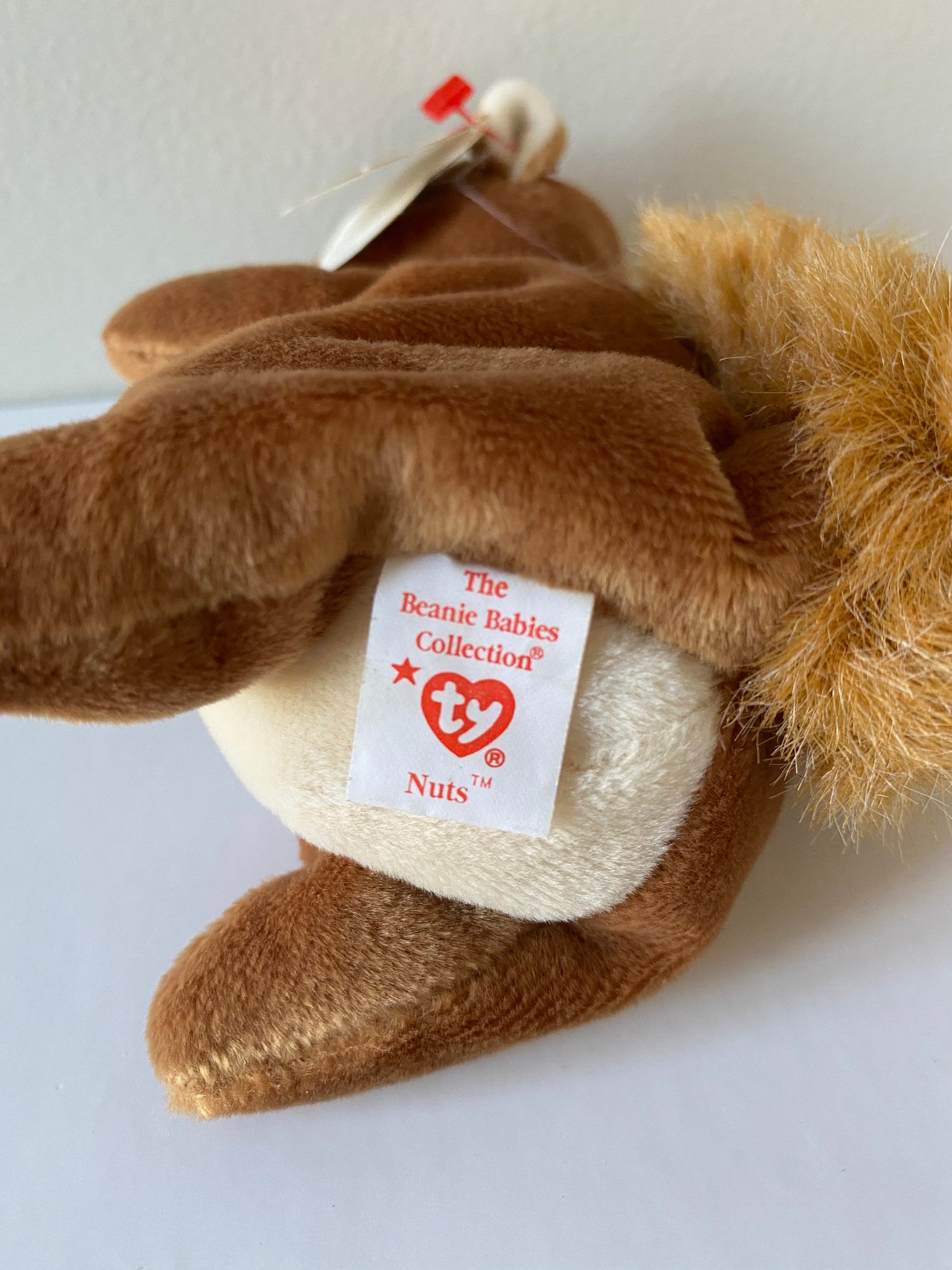 1996 Nuts the Squirrel Beanie Baby Etsy France