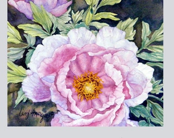 PEONY#5 -Watercolor Archival Print Collection -Aluminum Panel -Ceramic Tabletop -Mug&Coaster -Ornament -Heirloom Card