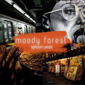 Op de afbeelding: Een collage van afbeeldingen met een metrotrein, een straatbeeld met eetstalletjes en een close-up van een gezicht met een zonnebril. De tekst "moody forest lightroom preset" is over de afbeelding gelegd.
