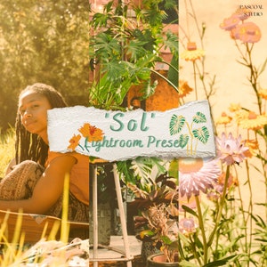 Sol: 1 Lightroom Preset for Desktop & Mobile / Adobe Lightroom / Photo Filter / Instagram Filter / Blogger / Influencer / Photo Editing