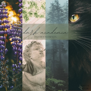6 Dark Academia Lightroom Presets for Mobile & Desktop / Minimal Preset / Instagram Filters / Cinematic Presets / Dark Academia Aesthetic