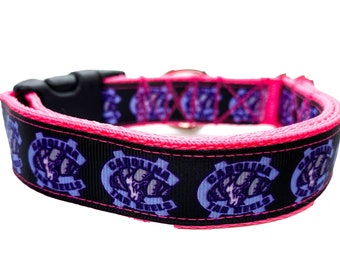 pink unc dog collar