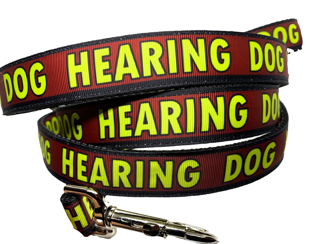 Hearing Dog Leash One inch width choose your length Service Etsy