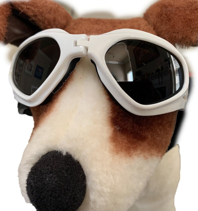 Dog Goggles for dogs 15lbs to 30lbs in weight Doggles Dog Etsy