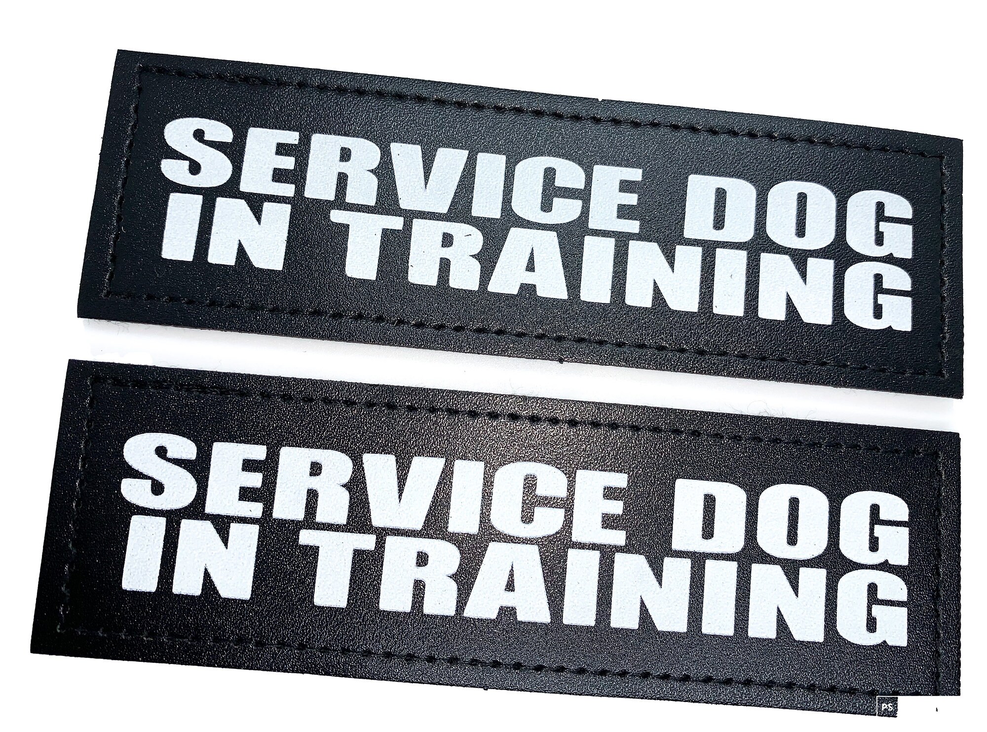 Service Dog in Training Dog Patch Size Large 2 X 6 Etsy UK
