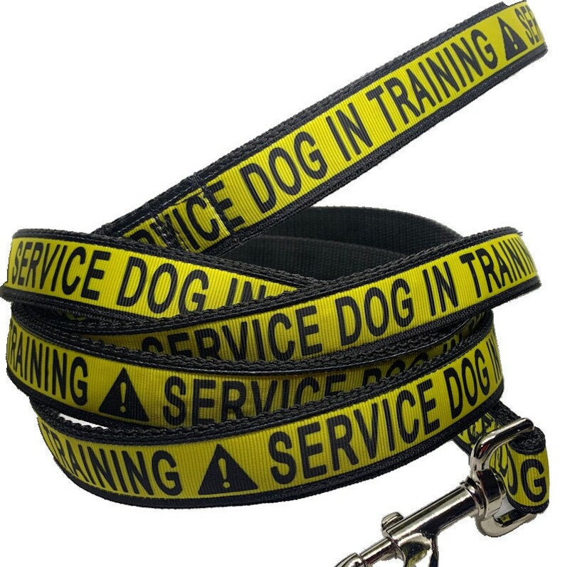 Service Dog In Training 1 width leash choose your Etsy