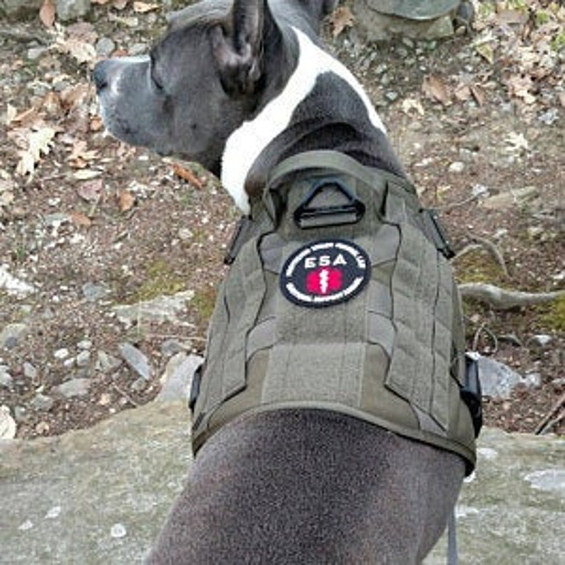 Emotional Support Animal 3 round patch service dog Etsy