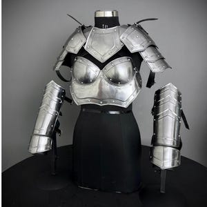 Medieval Steel Corset Armor: Adult Female Costume, LARP Cosplay
