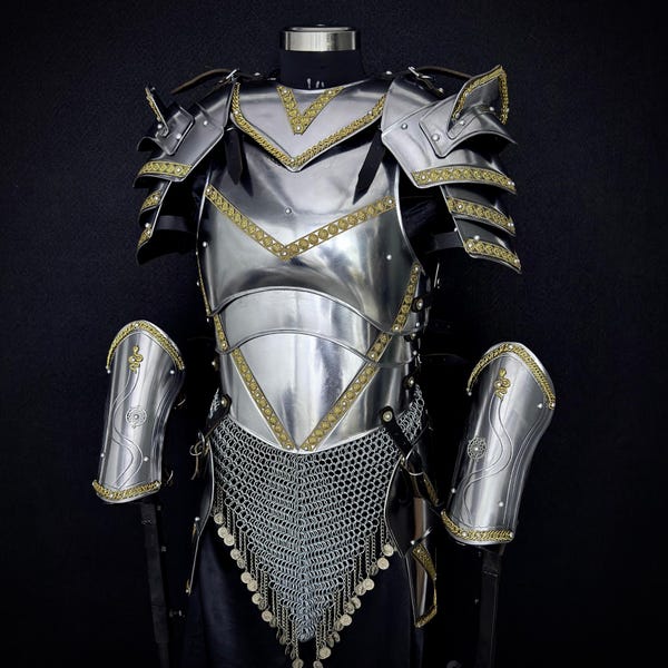 Full Body Knight Armor Suit – Steel Gothic Armor, Gold Trim, LARP Cosplay Harness