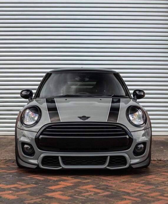 Mini cooper cheap headlight eyelids