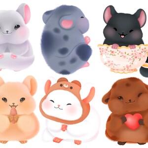 Cute kawaii Printable chinchillas clipart / commercial use/ PNG