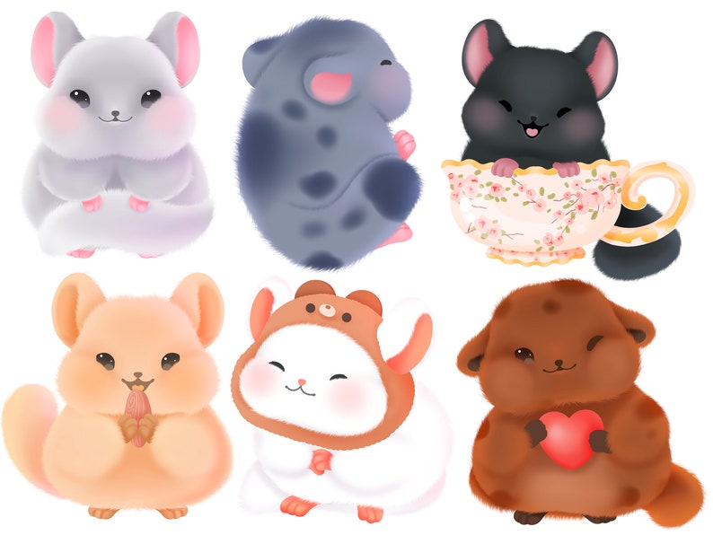 Cute Kawaii Printable Chinchillas Clipart / Commercial Use/ Etsy