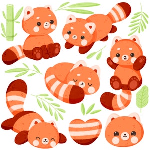 Clipart imprimable panda roux kawaii / usage commercial / PNG