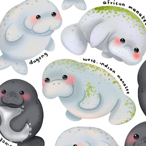 Süße süße Sirenen der Welt Kawaii Printable Clipart / Kommerzielle Nutzung / PNG