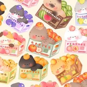 Carino kawaii stampabile gatto scatole di frutta clipart / uso commerciale / PNG